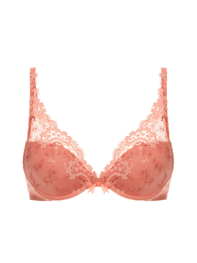 Plunge-Push-up-BH - Ingwerrosa