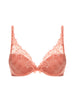 Plunge-Push-up-BH - Ingwerrosa