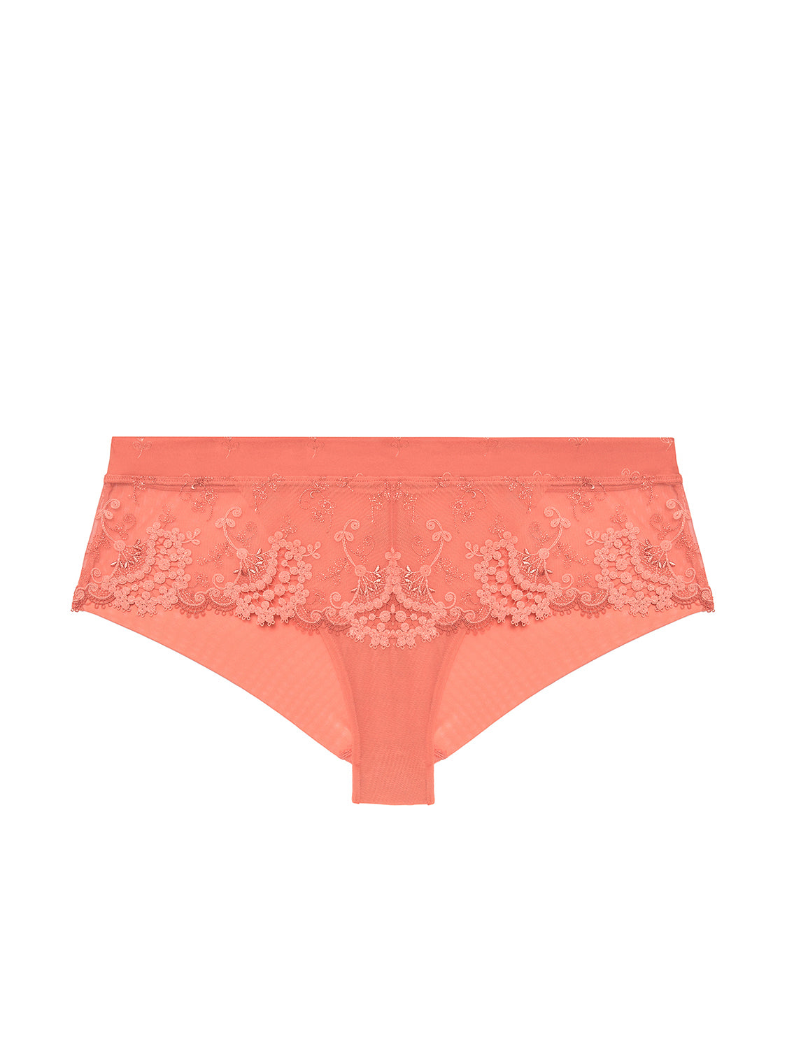 Shorty - Ingwerrosa