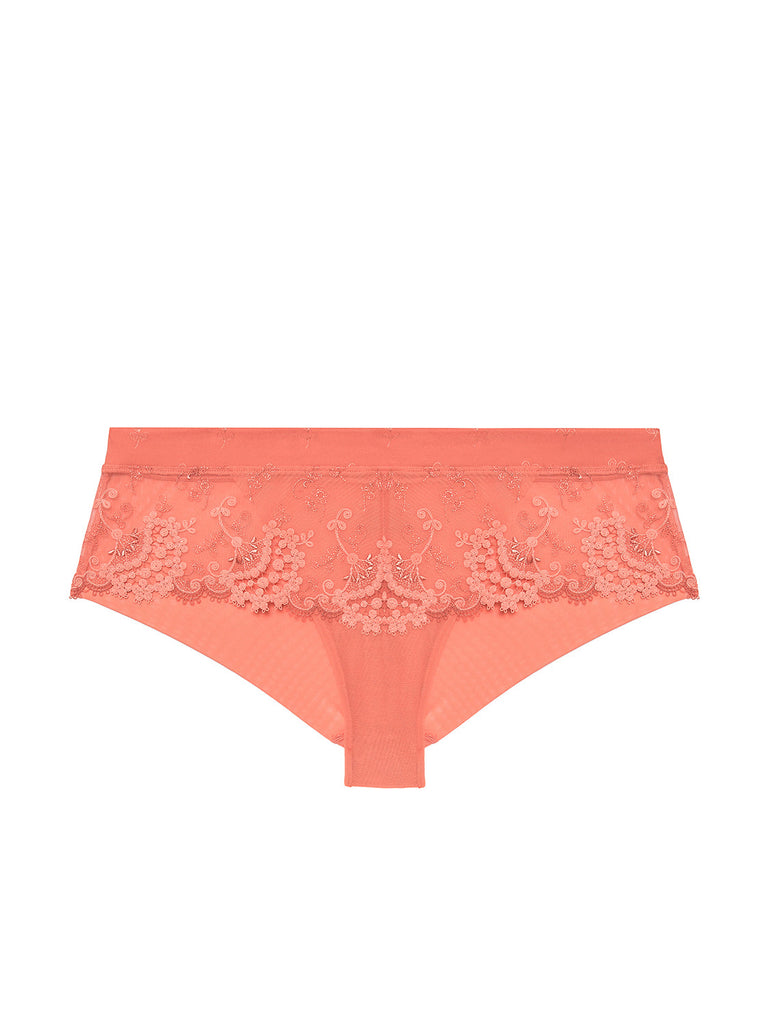 Shorty - Ingwerrosa