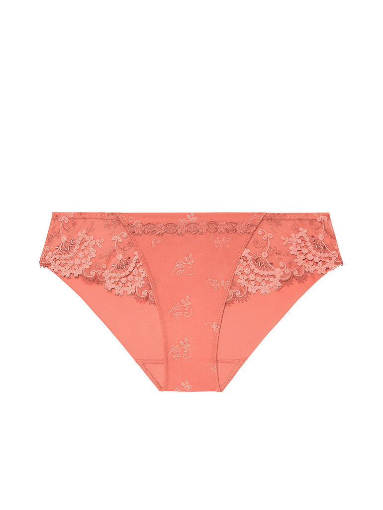 Slip - Ingwerrosa