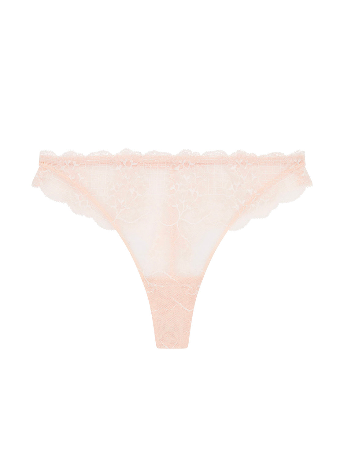 Tanga - Sakura Rosa