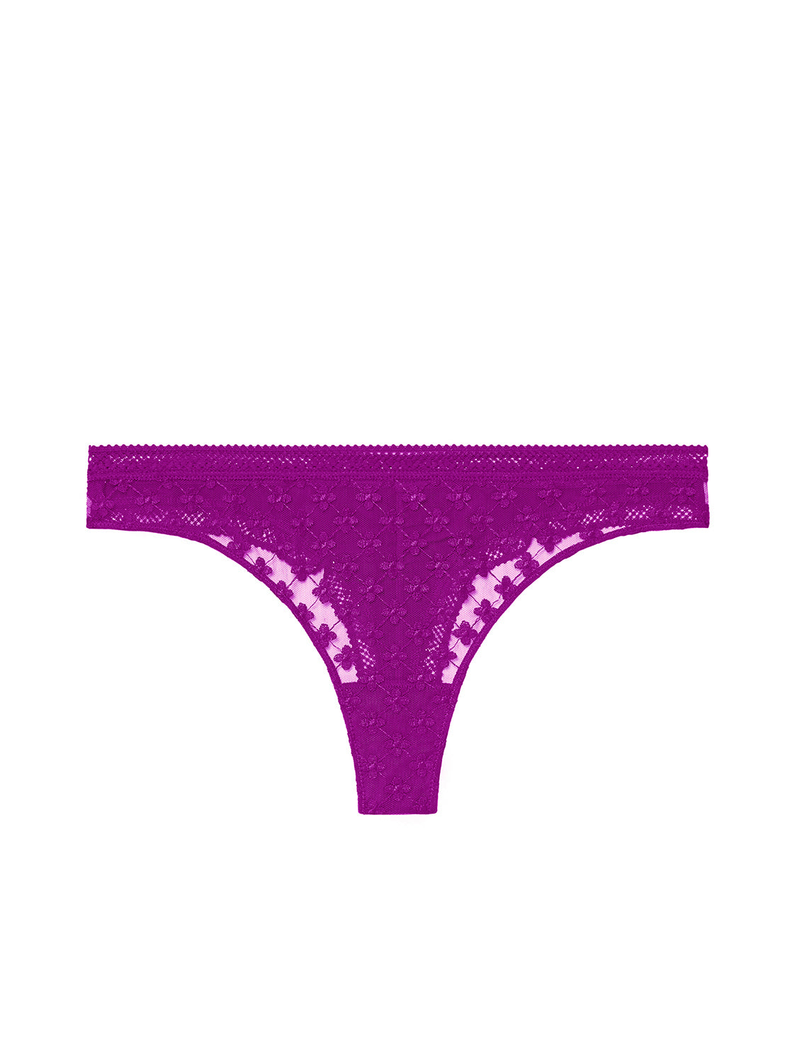 Tanga - Bougainvillea