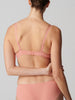 Plunge-Push-up-BH - Ingwerrosa