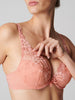 Plunge-Push-up-BH - Ingwerrosa