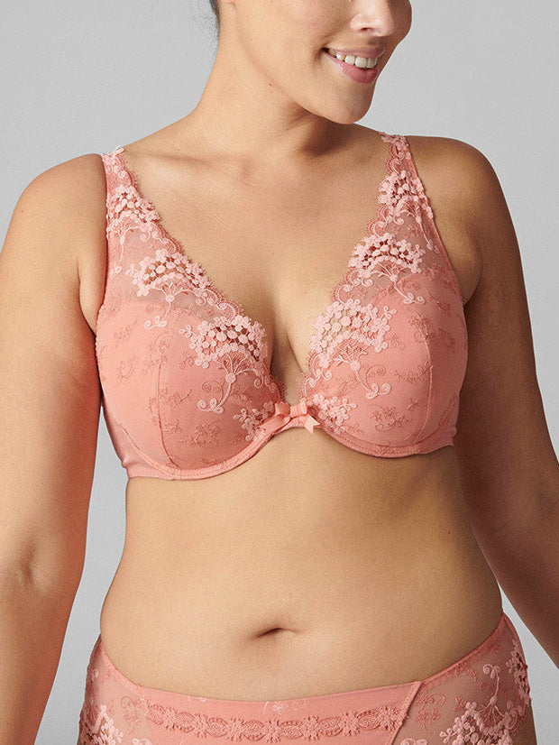 Plunge-Push-up-BH - Ingwerrosa