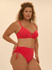 Bikini-Slip mit hohem Bund. - Flamingo