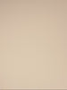 Figurformender High-Waist-Slip - Rosige Haut