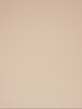 Tanga - Schickes Beige